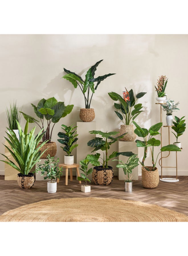 Home Box Evergreen Artificial Potted Plant - 90 cm - Image 3